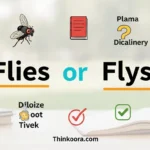 Flies or Flys