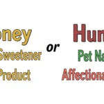 Honey or Hunny